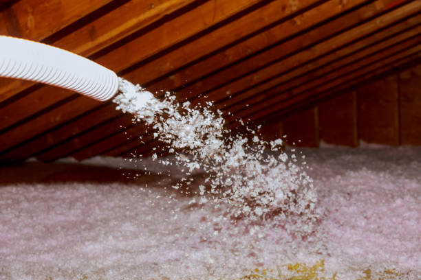 Best Energy Efficiency Solutions in St Augustine Shores, FL