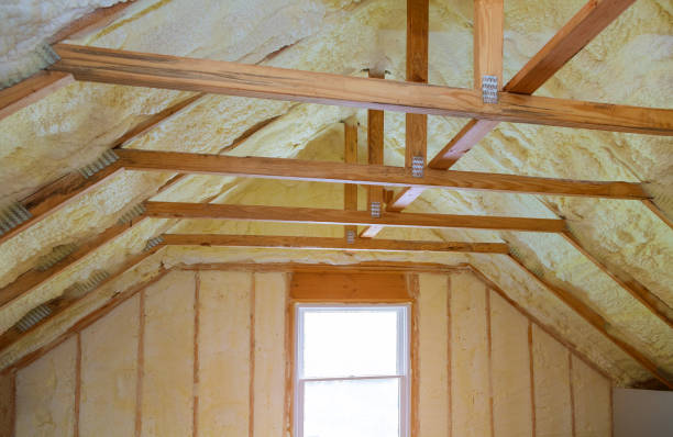 Best Specialty Insulation in St Augustine Shores, FL