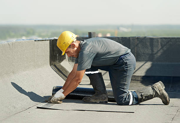 Best Insulation Materials and Products in St Augustine Shores, FL